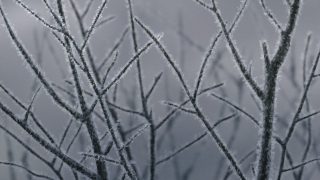 Episode 4 thumbnail