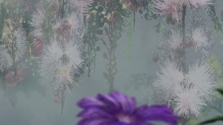 Episode 3 thumbnail