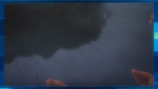 Episode 7 thumbnail