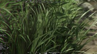 Episode 1 thumbnail